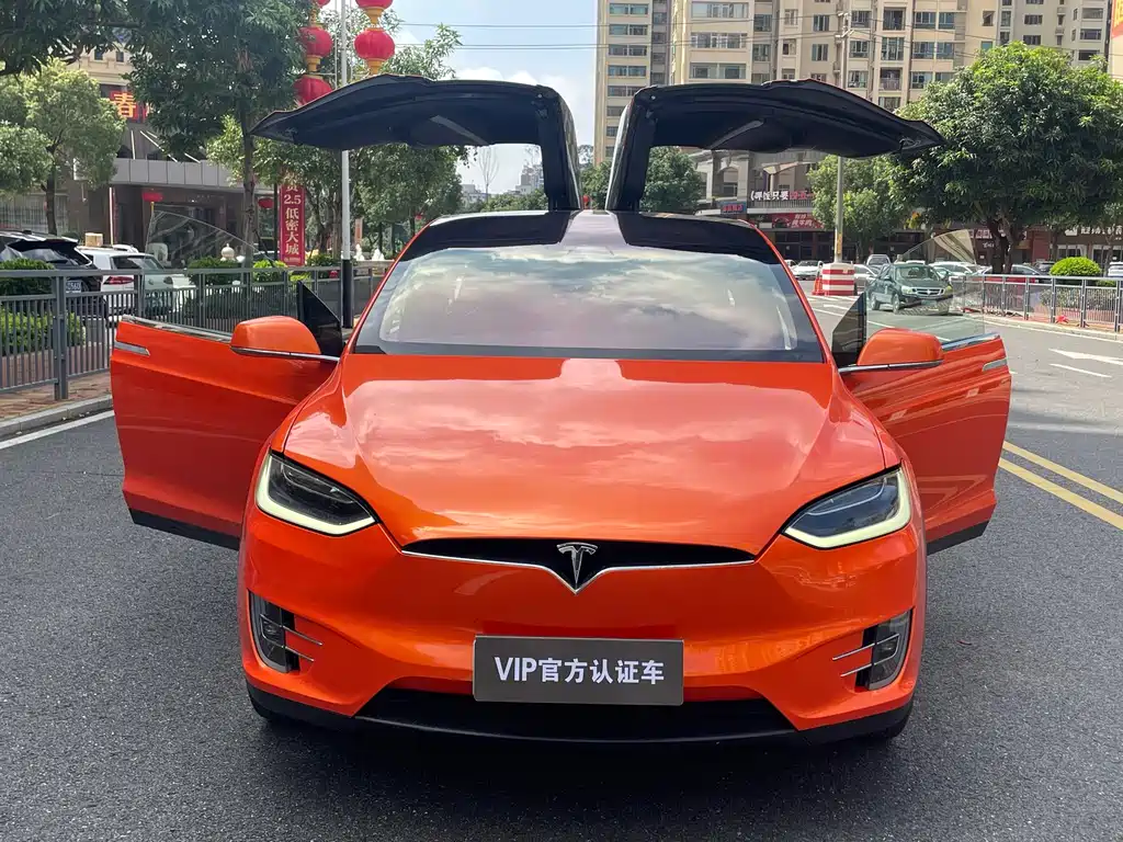 Tesla Model X 2019 — фото 10