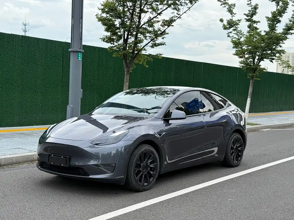 Tesla Model Y 2021 — фото 1