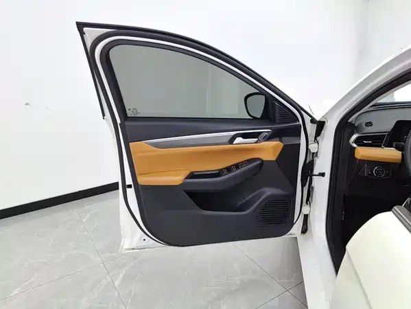 Ford Escort 2021