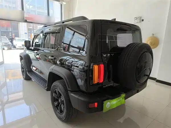Tank 300 2021