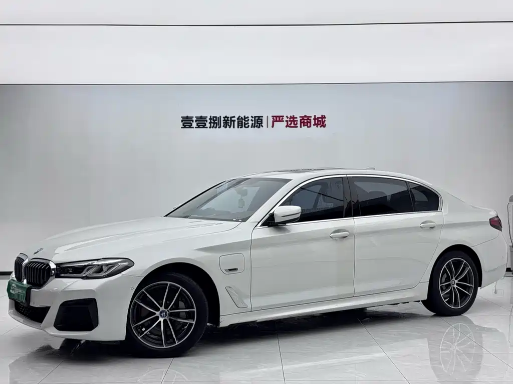 BMW 5 Series New Energy 2022