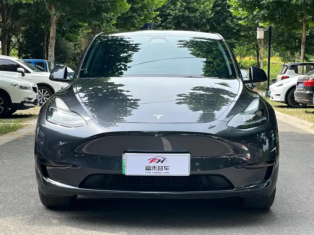 Tesla Model Y 2024 — фото 2