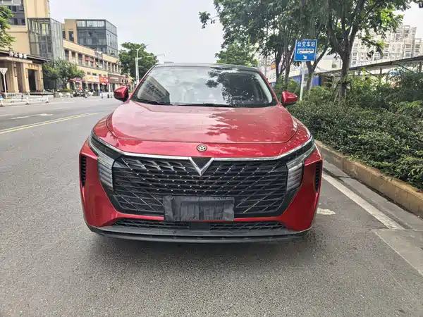 Venucia Big V 2021