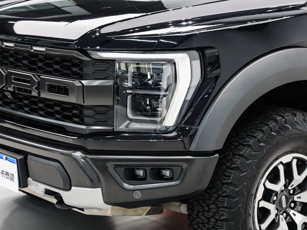 Ford F-150 Raptor 2025 — фото 8