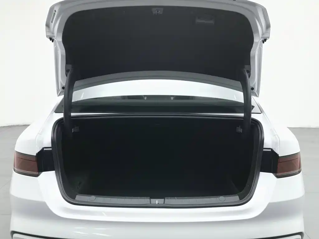 BYD Qin PLUS 2024 — фото 16