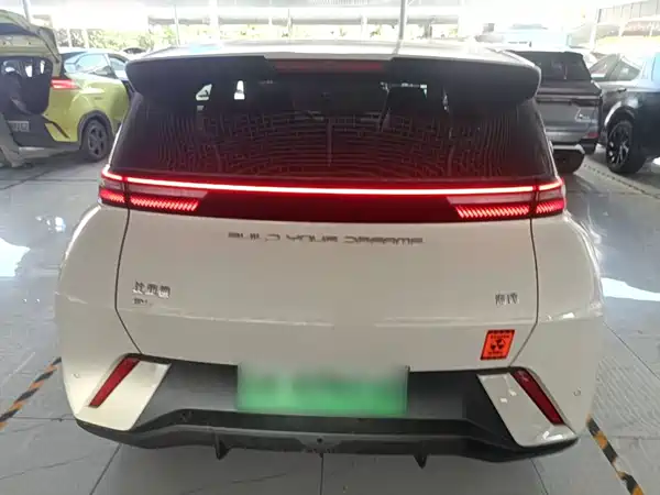 BYD Seagull 2024