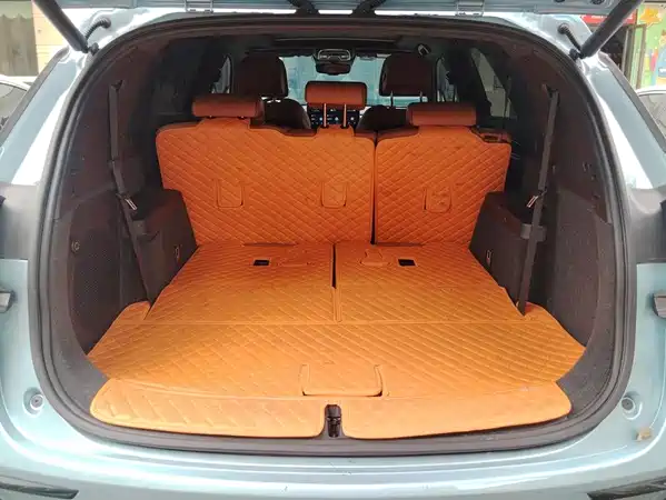 BYD Tang New Energy 2023