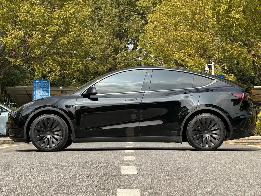 Tesla Model Y 2024 — фото 3