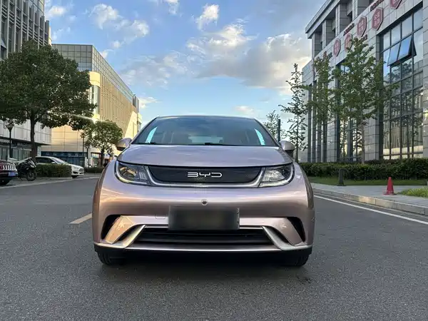 BYD Dolphin 2023