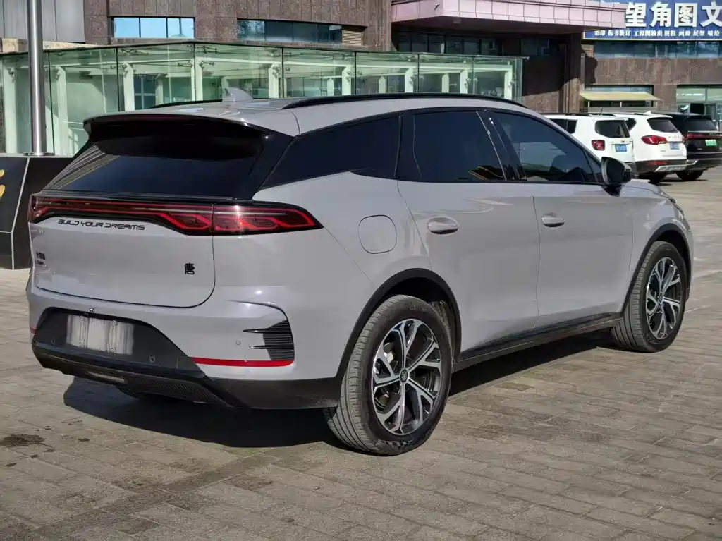 BYD Tang New Energy 2024 — фото 10