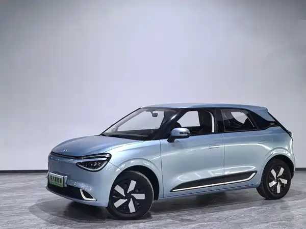 Dongfeng Nano 01 2024