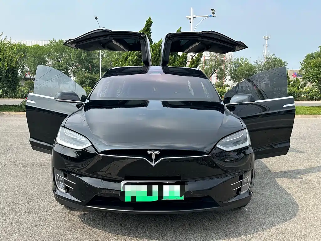 Tesla Model X 2017 — фото 9