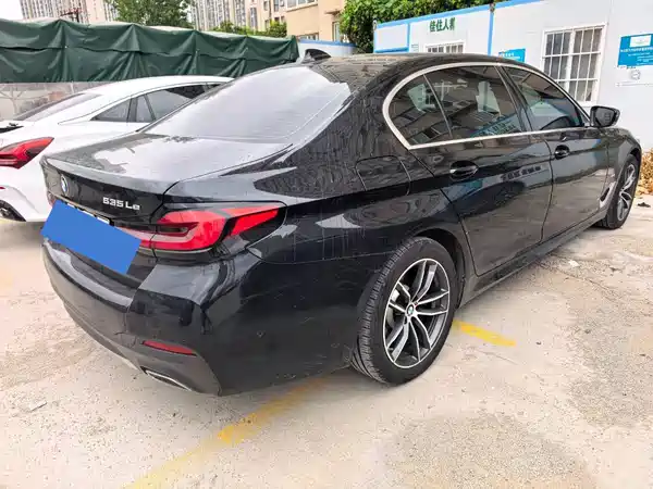 BMW 5 Series New Energy 2020