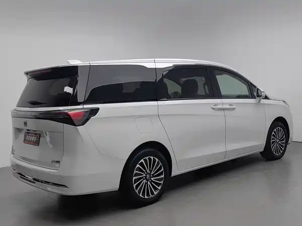 Buick GL8 New Energy 2025