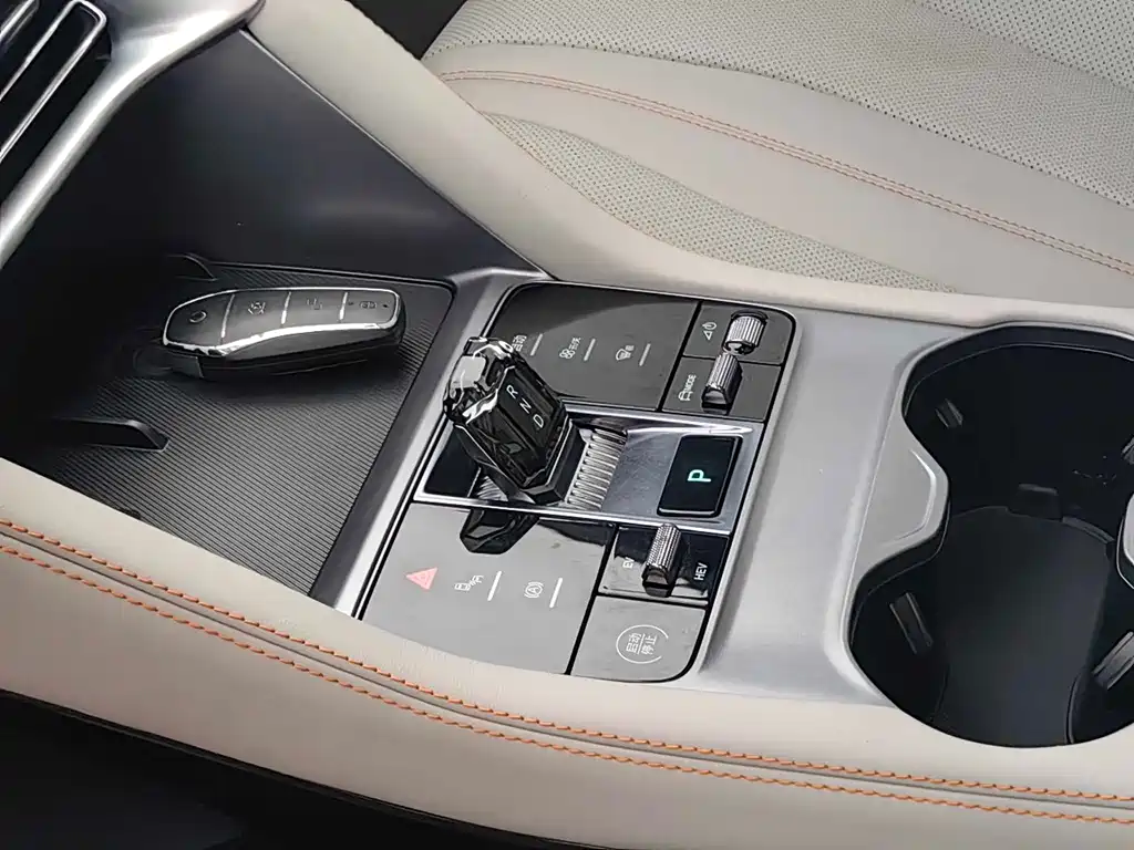 BYD PLUS New Energy 2024 — фото 14