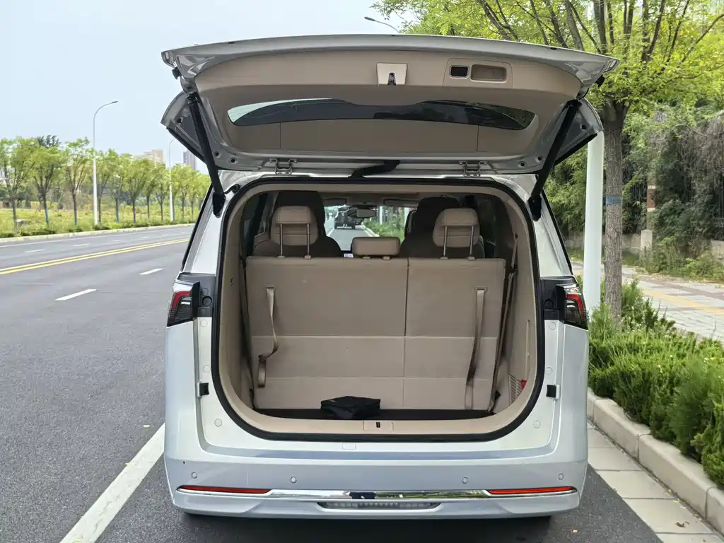 Buick GL8 Hybrid 2025 — фото 13