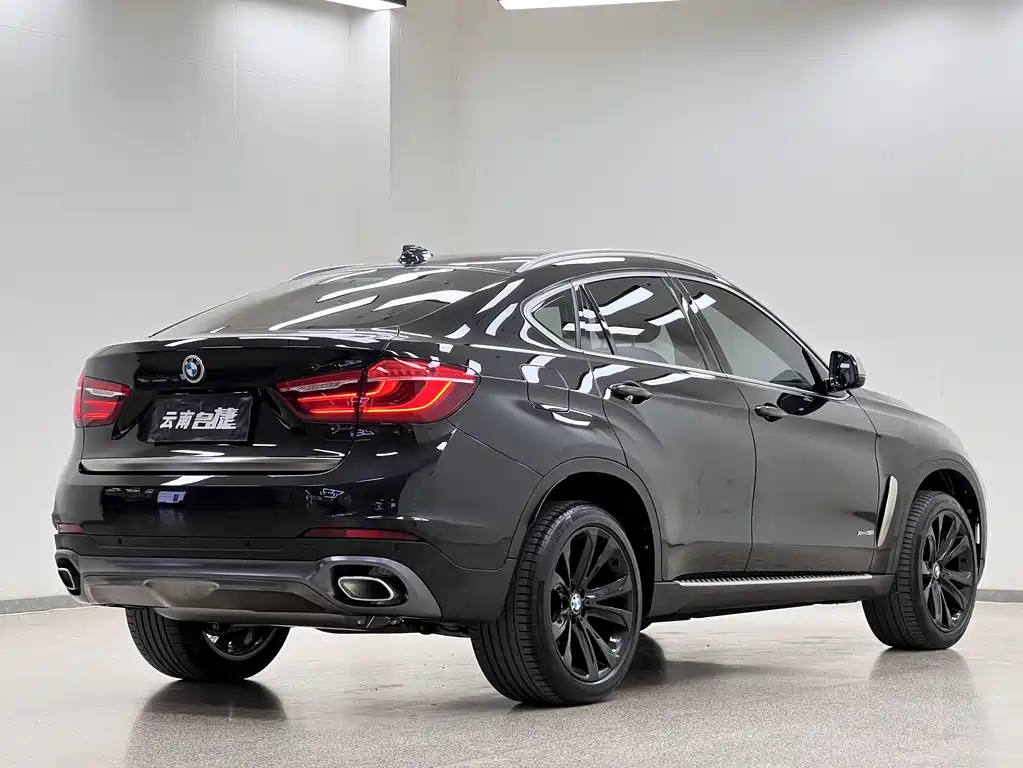 BMW X6 2019 — фото 7