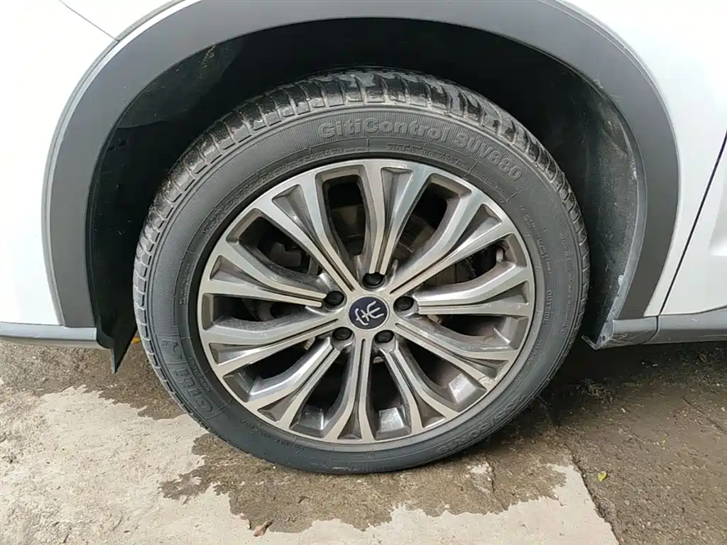 BYD Pro New Energy 2020 — фото 23