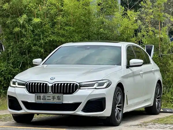 BMW 5 Series 2022