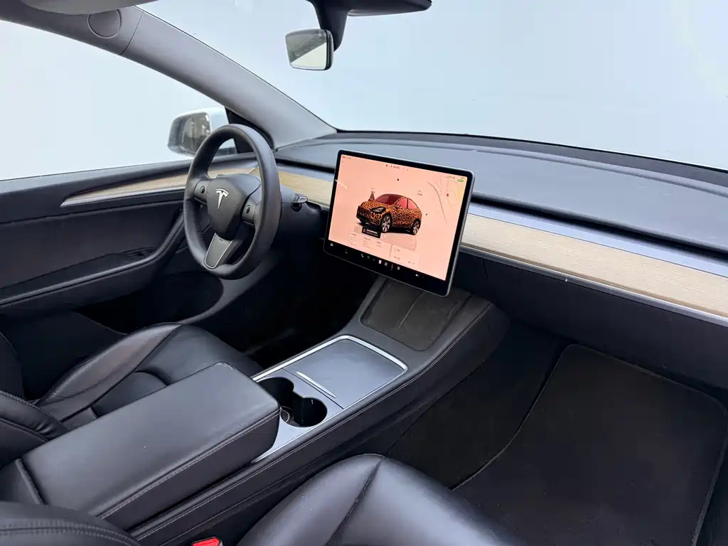 Tesla Model Y 2023 — фото 14