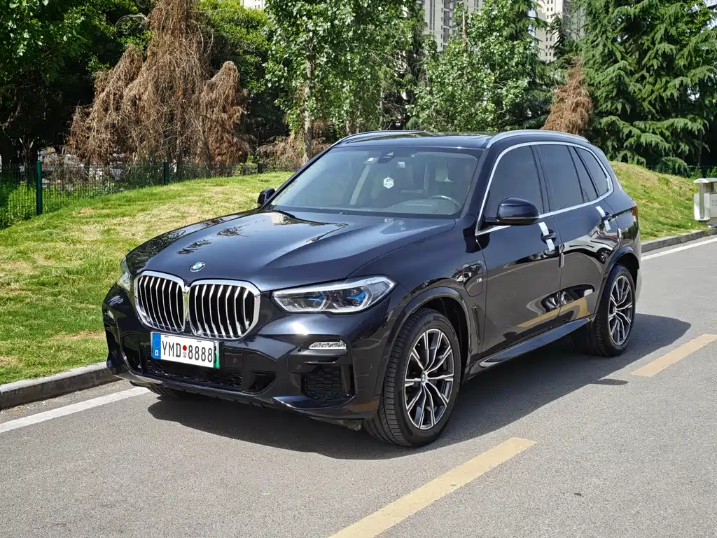 BMW X5 New Energy 2021