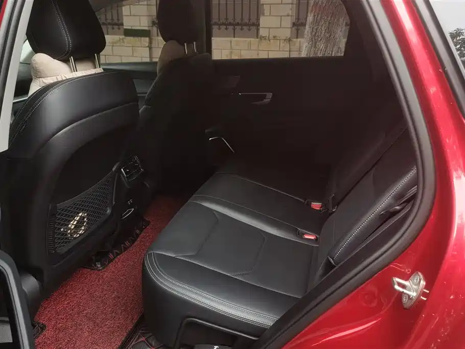 BYD Pro New Energy 2020 — фото 11