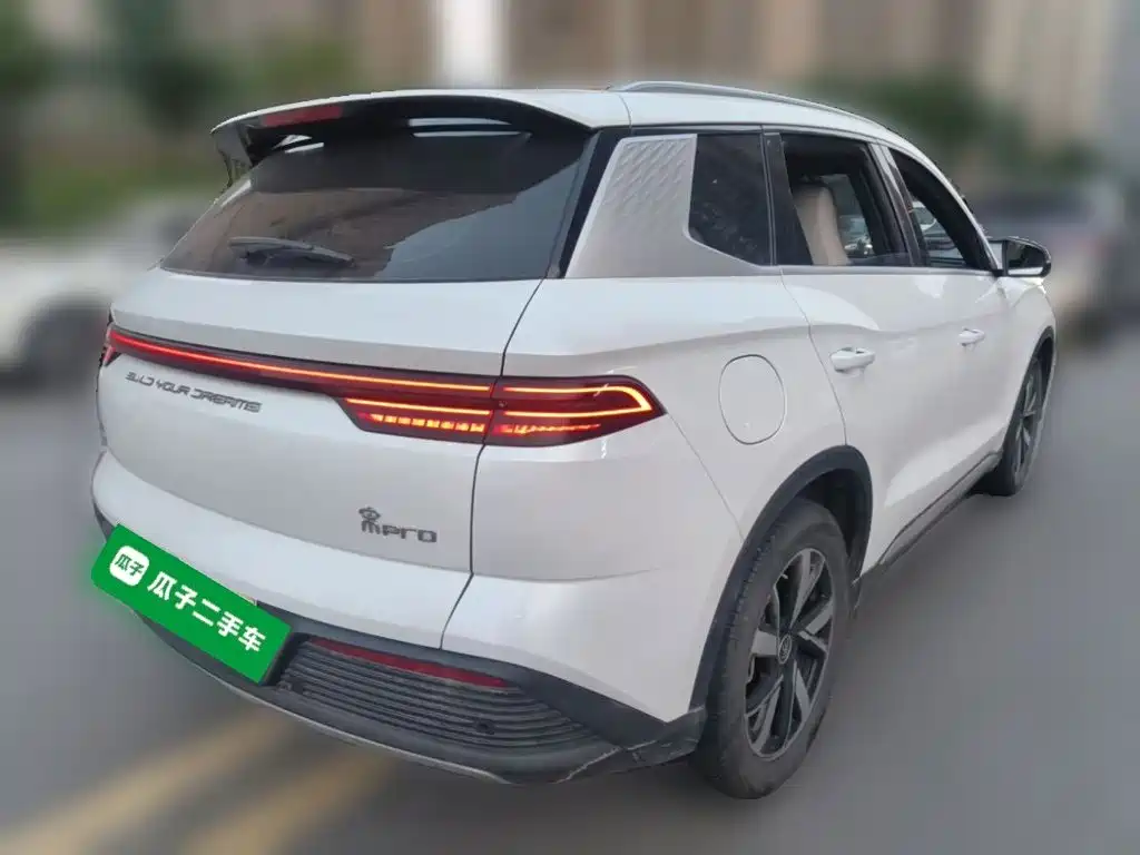 BYD Pro New Energy 2024 — фото 5