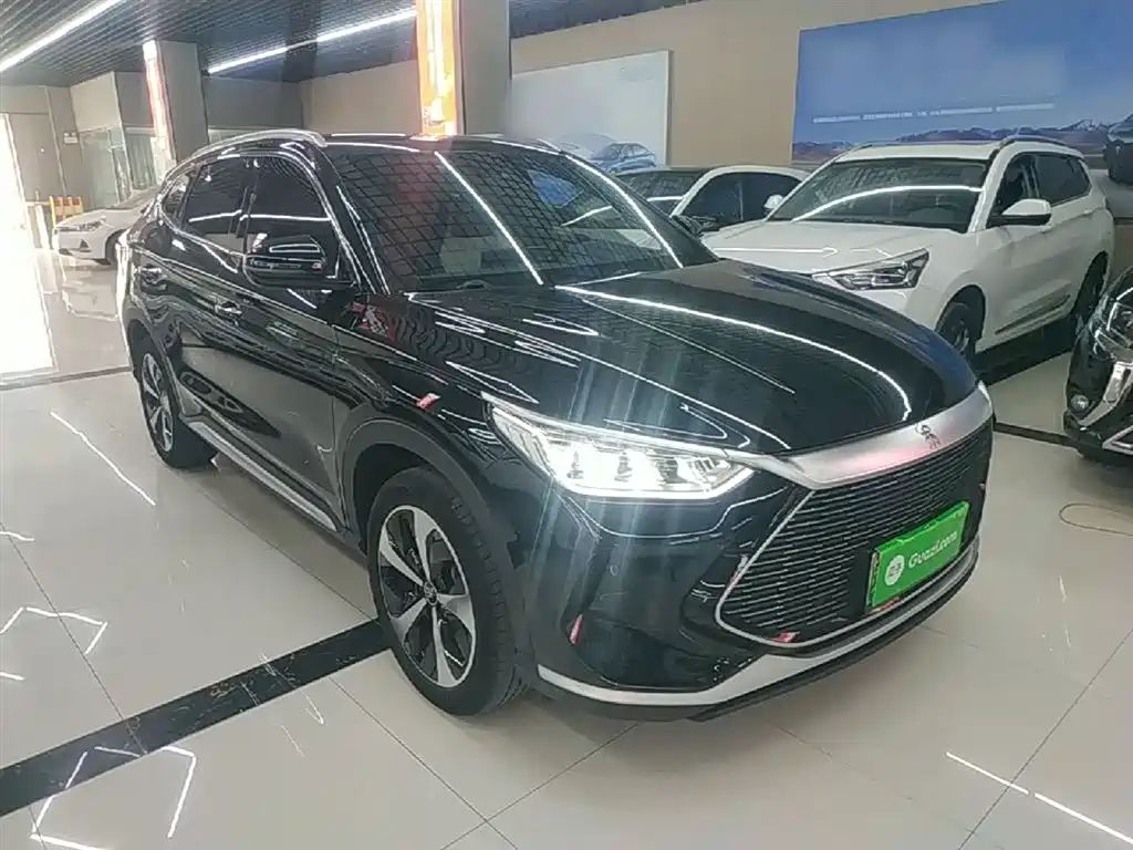 BYD PLUS New Energy 2023 — фото 4