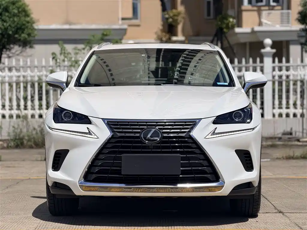 Lexus NX 2018 — фото 10
