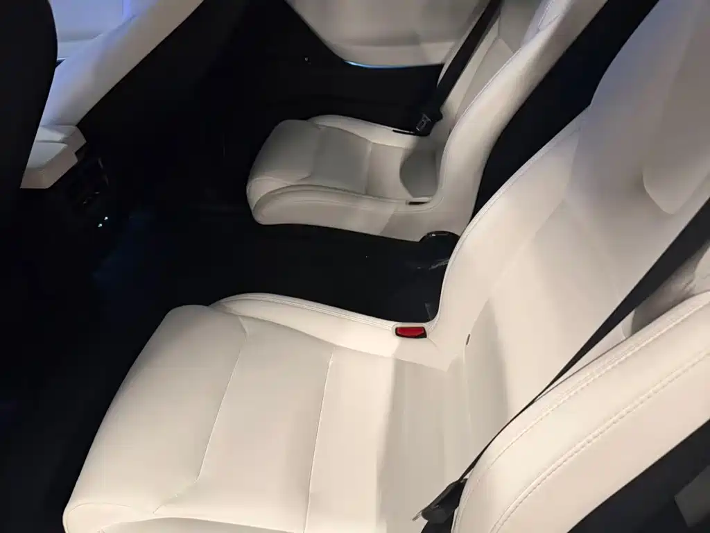 Tesla Model X 2020 — фото 4