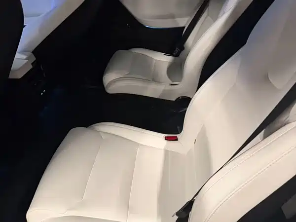 Tesla Model X 2020