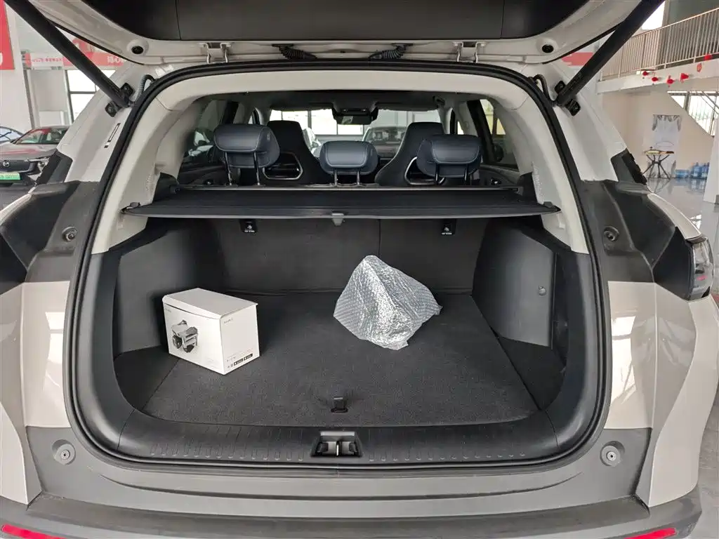 BYD Sealion 07 DM-i 2025 — фото 19