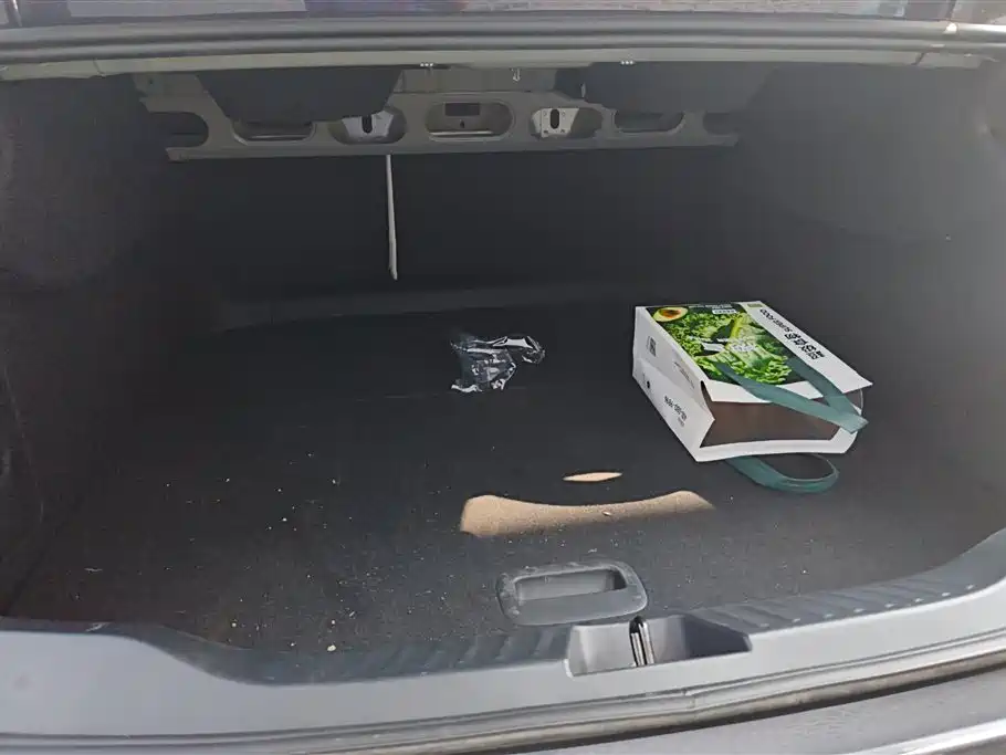 Buick Electra L7 2025 — фото 4