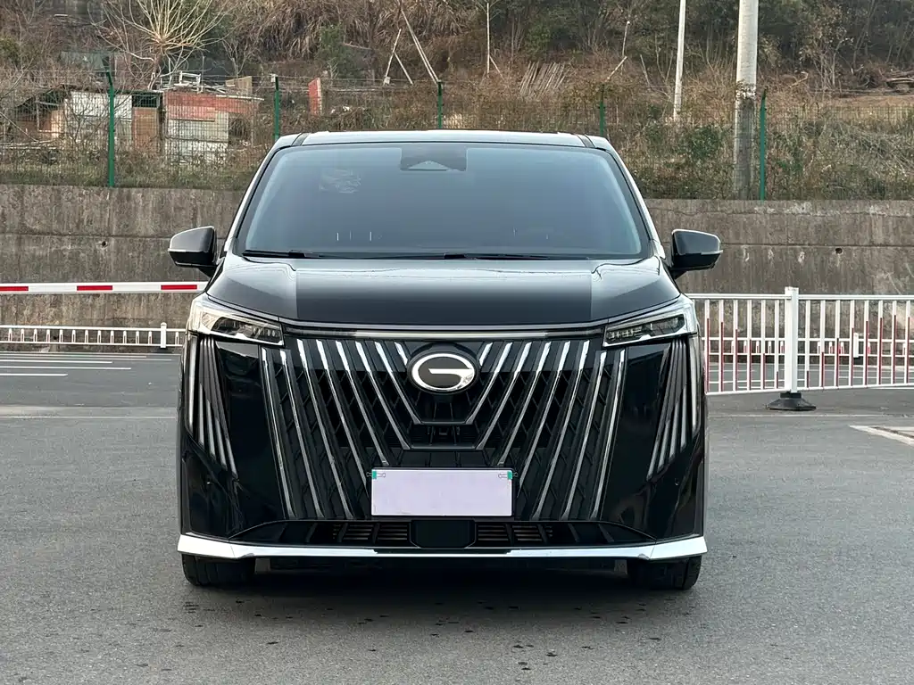GAC Motor Trumpchi M8 2024 — фото 2