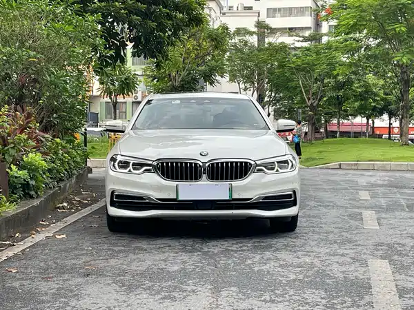 BMW 5 Series New Energy 2020