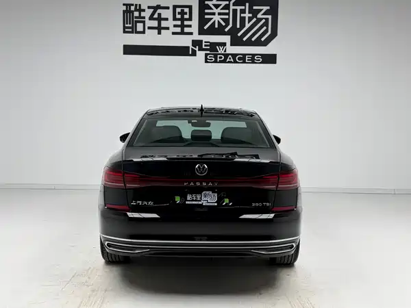 Volkswagen Passat 2024