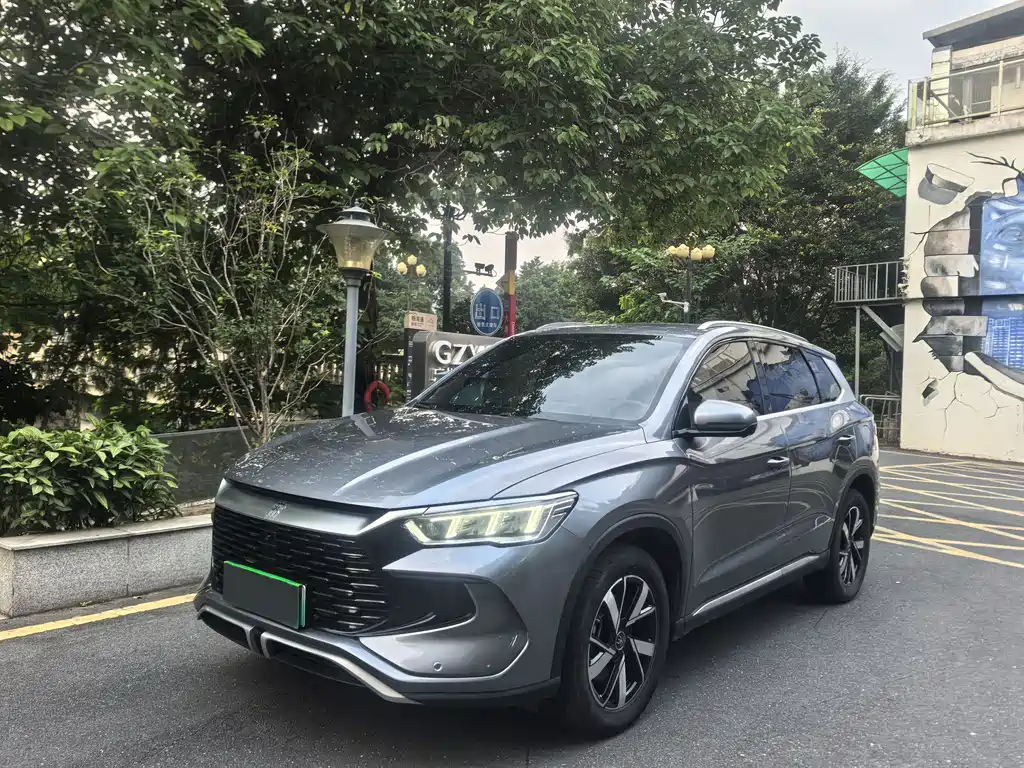 BYD Pro New Energy 2024 — фото 1