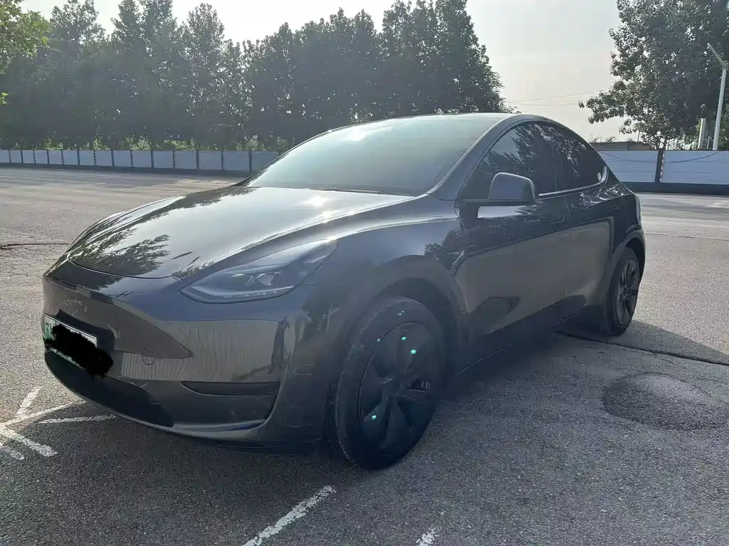 Tesla Model Y 2024 — фото 1