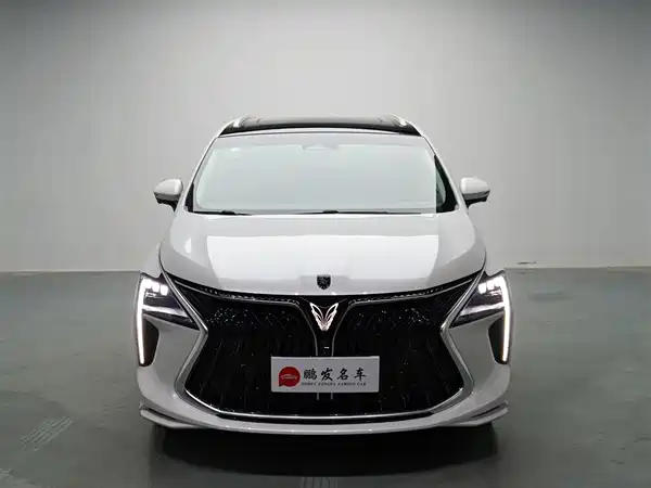 Dongfeng Popular Yacht 2024