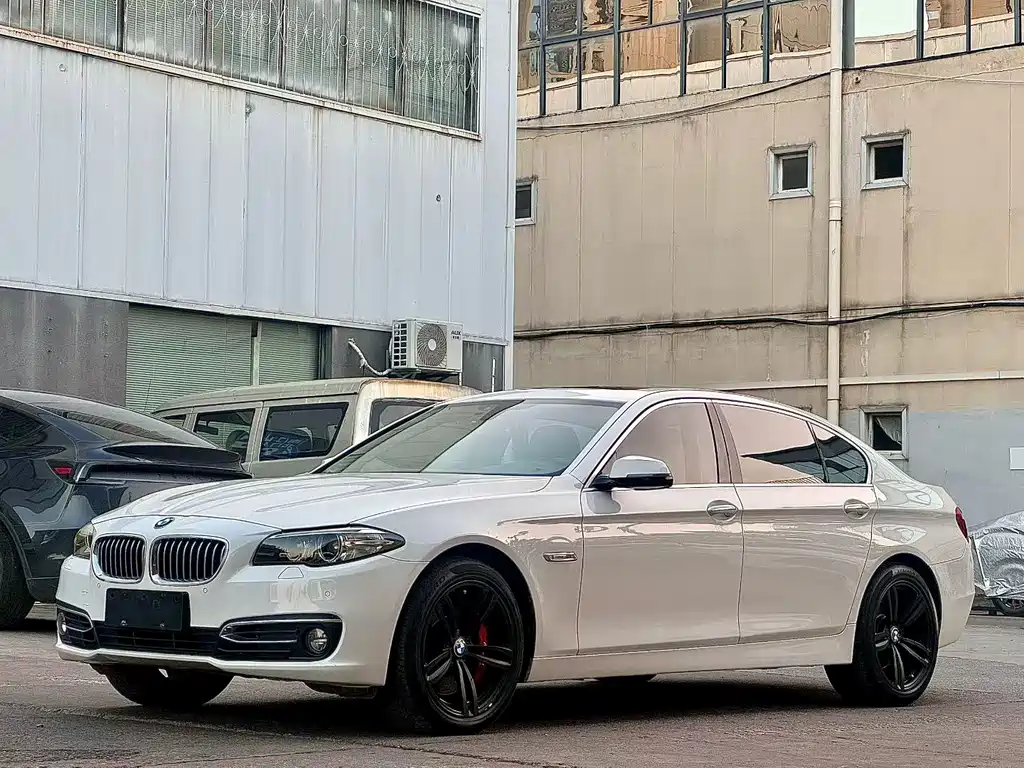 BMW 5 Series 2014 — фото 1
