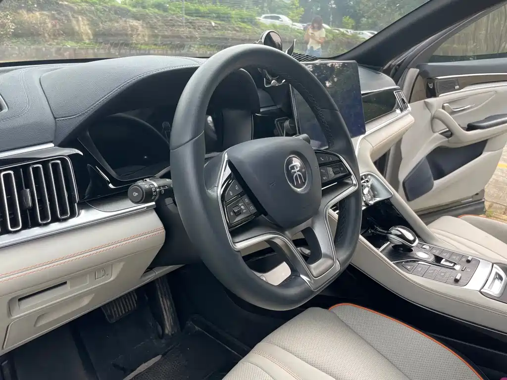 BYD PLUS New Energy 2022 — фото 17