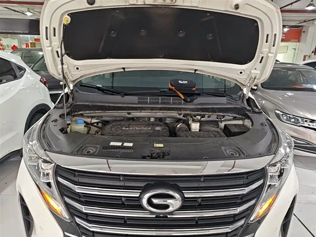 GAC Motor Trumpchi M8 2021 — фото 20