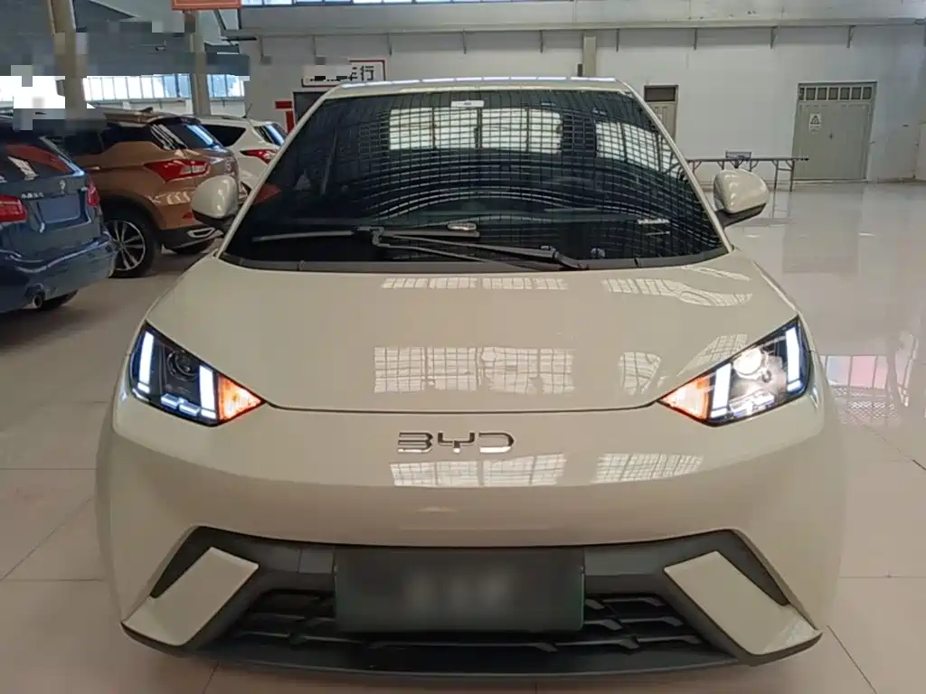 BYD Seagull 2024