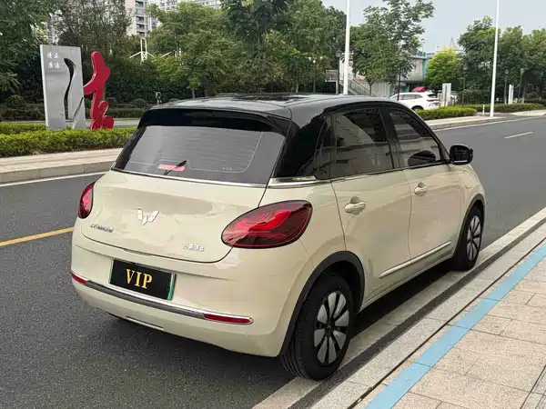 Wuling Bingo 2024