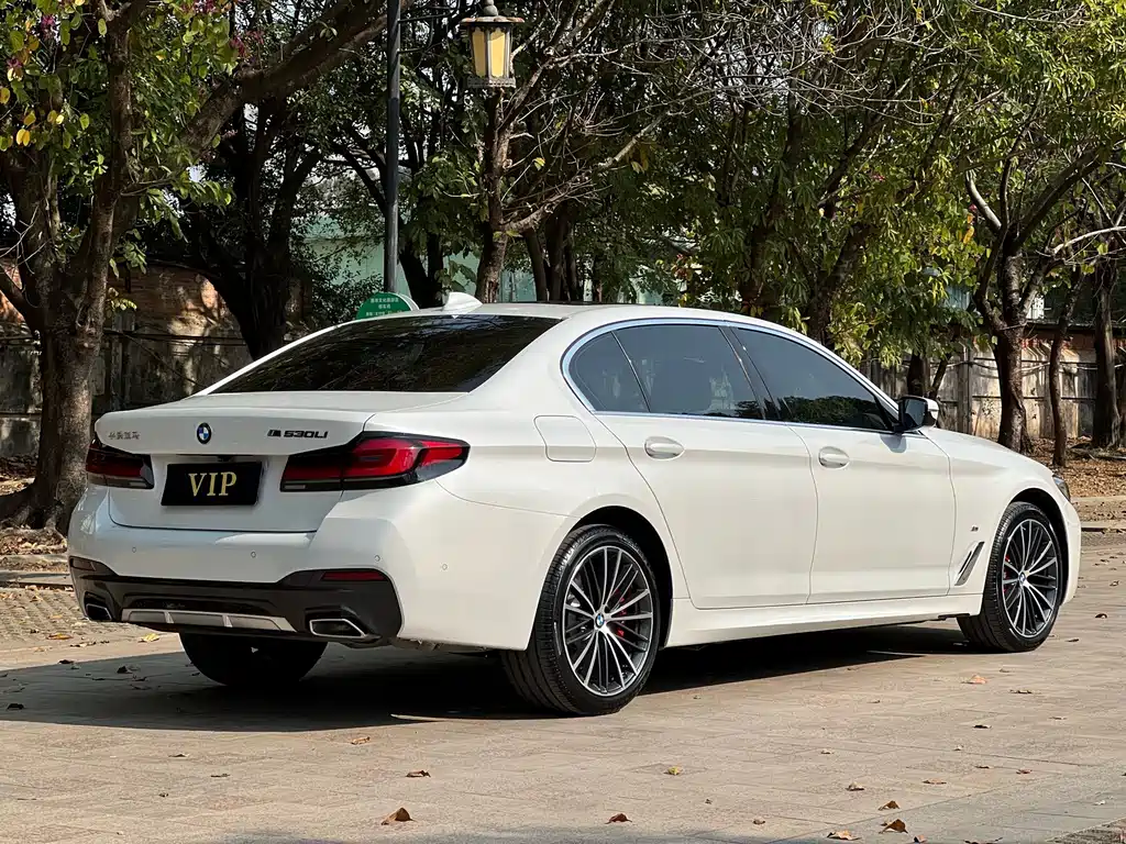 BMW 5 Series 2022 — фото 14