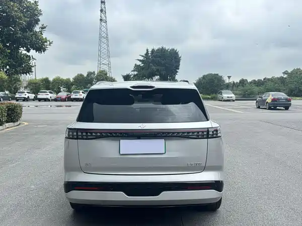 Dongfeng e008 2024
