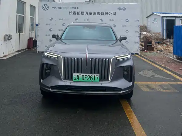 Hongqi E-HS9 2022