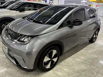 BYD Dolphin 2024