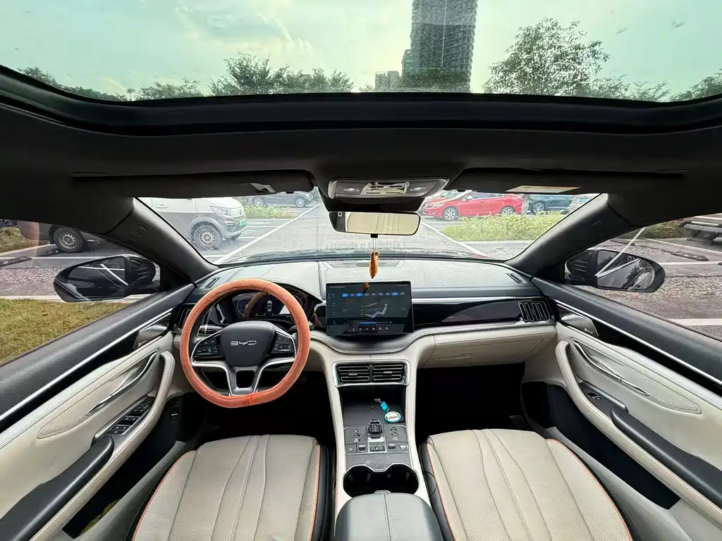 BYD Song PLUS New Energy 2024 — фото 6