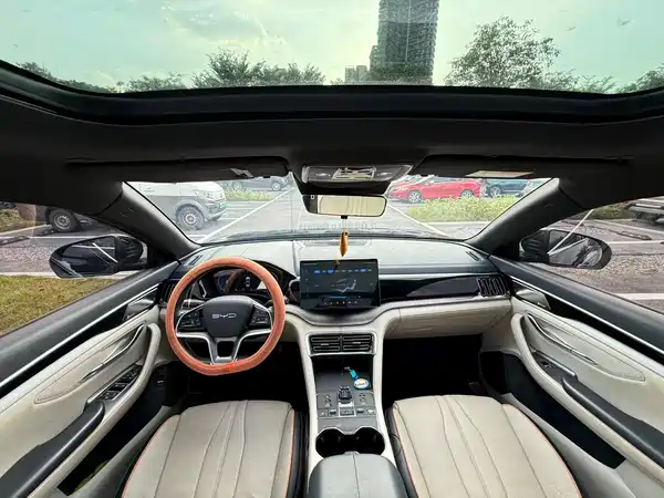 BYD Song PLUS New Energy 2024